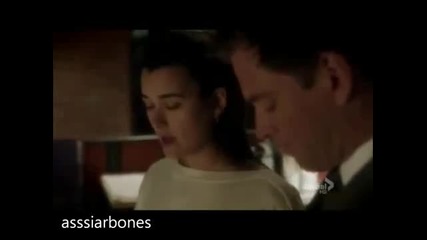 Tony and Ziva-you will find somebody someday