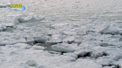 Зимна красота