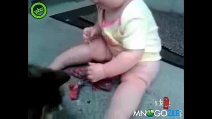 Бебе яде котка
