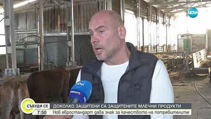 Защо БДС вече не е гаранция за качеството на млечните продукти