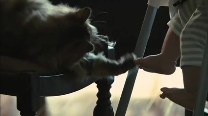 Babies Trailer Hd 