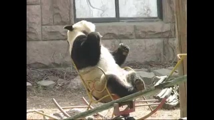 Сладка панда на люлеещ се стол