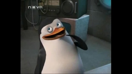 The Penguins of Madagascar