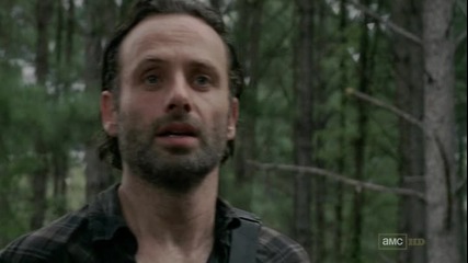 The walking dead s03 e09