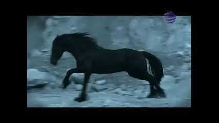 Емилия - ти си луд