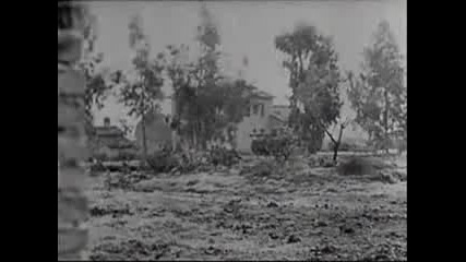 Waffen Ss in Action