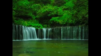 Healing Forest