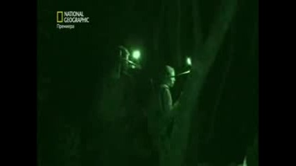 На лов за нло - Извънземно бебе