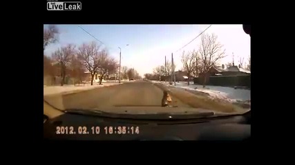 Да ти изкочи куче на пътя