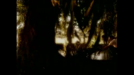 Nick Cave Kylie Minogue - Where The Wild Roses Grow 