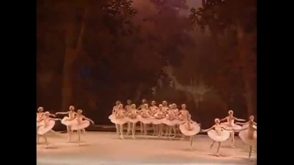 The Sleeping Beauty Kirov/marinsky Ballet 21