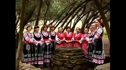 Садила мома край море лозе 