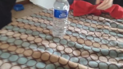 Mom Pranks Son With Water Bottle Magic Trick - Americas Funniest Home Videos _ Facebook