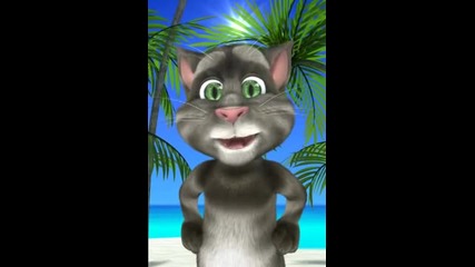Talking Tom Fassi