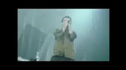 Lp Live