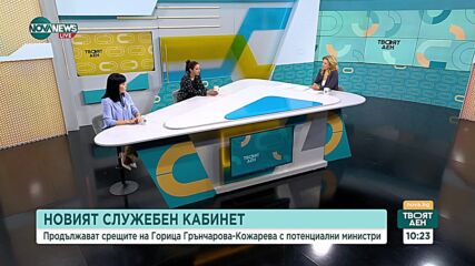 Политолог: Кожарева вероятно ще смени вътрешният и външният министри, без други кадрови промени