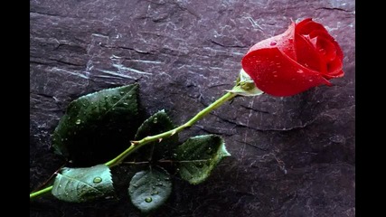 Chayanne - Peligro de amor 