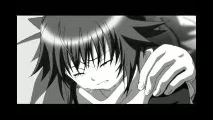~tears Of An Angel~ Ikuto And Amu~