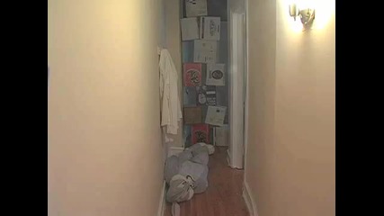 t screwattack avgn bugsbunnybirthday gt