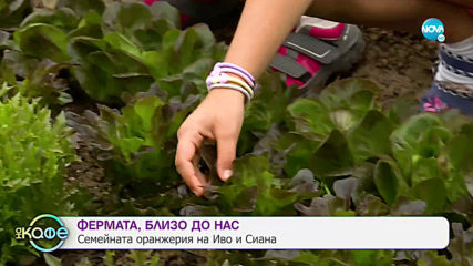 Сиана и Иво: Едно младо семейство, избрало да живее на село - На кафе (12.11.2019)