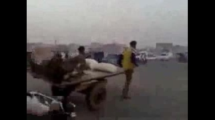 Мързеливото Магаре..