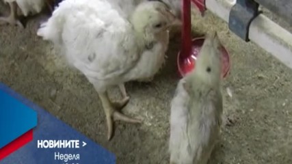В Новините на NOVA от 12.00 ч. на 15 януари очаквайте