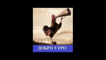 Добро утро !