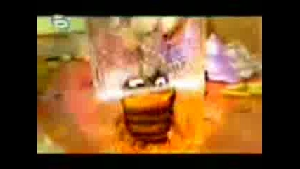 b0b0le4ka (ku4ek)