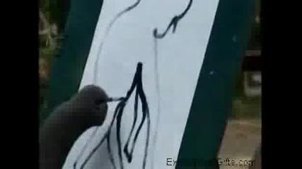 Слон Си Прави Автопортрет
