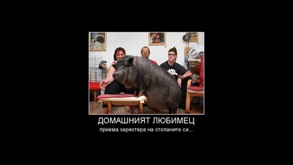 Топ 20! Смешни снимки подбрани от мен!