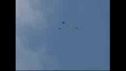 Николаевски гълъби с перфектен полет 