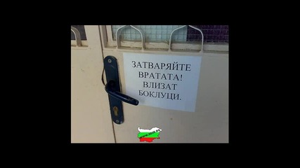 Това може да се види само в България : D