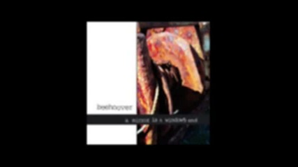 Beehoover - Pioneer