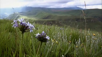 Dragon Mountains - South Africa - Relaxing With Wonderful Music - In Hd - Youtube