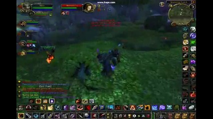 Level 70 Tauren Hunter 