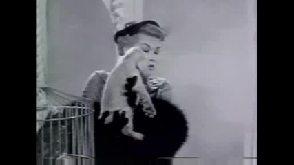 Patti Page - How Much Is That Doggie In The Window.avi