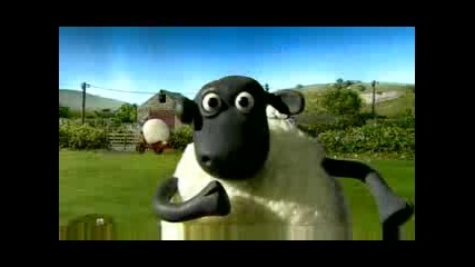Shaun The Sheep - Lifes A Treat
