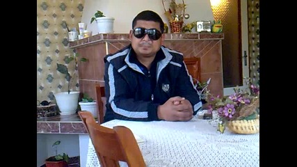 gunai ferdi 2013