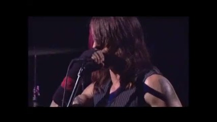 Red Hot Chili Peppers - Snow Hey Oh - Live!