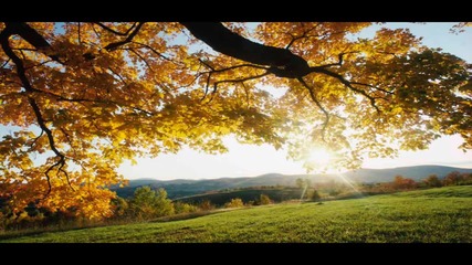 Westl - Autumn Sun