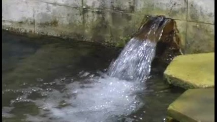 Народна музика - от извора.1
