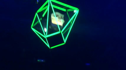 Lady Gaga - Heavy Metal Lover - Live In Sofia