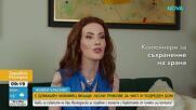 „Живей красиво”: С домашен любимец вкъщи: Лесни трикове за чист и подреден дом