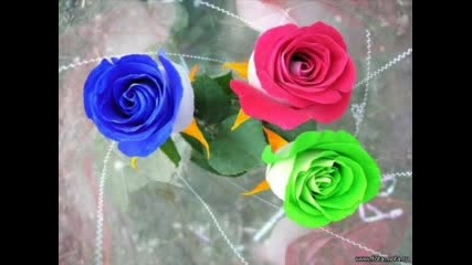 Къде Отива Сърцето Ми Vbox7.flv