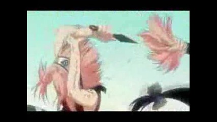 Sakura Amv