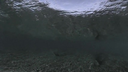 Pearl Jam Amongst the Waves
