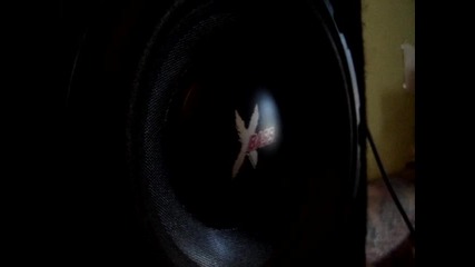 X - Bass