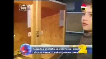 Господари На Ефира: Топ 5 - М. Април 2007