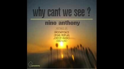 Nino Anthony - Why Cant We See (disko Loko remix)