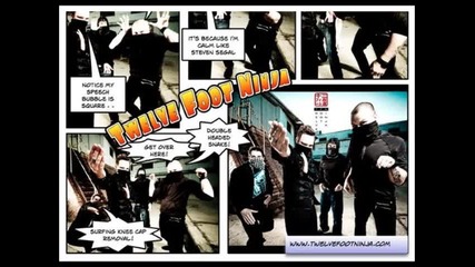 Twelve Foot Ninja - Portrait N1 